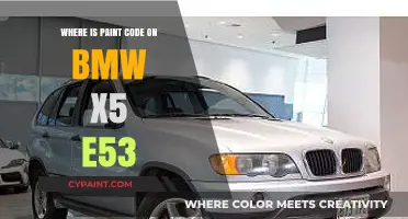 BMW X5 E53 Paint Code Location Guide: Quick Find Tips