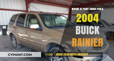 Finding 2004 Buick Rainier Paint Codes: A Comprehensive Guide