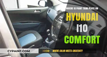 Hyundai i10 Comfort: Locating the Paint Trim Plate Easily
