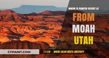 Exploring the Distance: Painted Desert AZ from Moab UT
