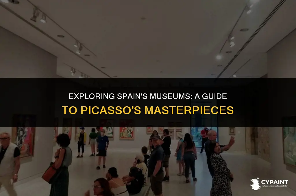 where is picasso