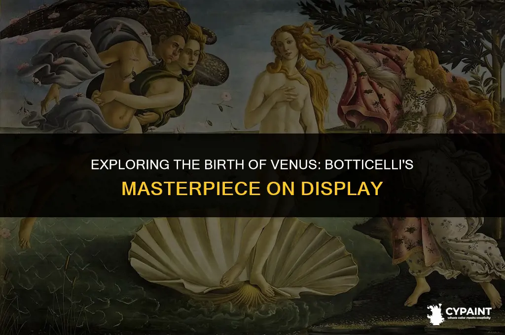where is sandro botticelli