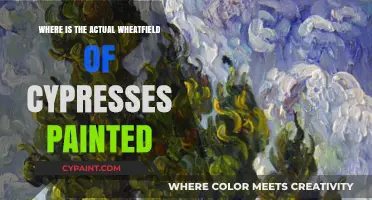 Discovering Van Gogh's Cypresses: The True Location of the Wheatfield
