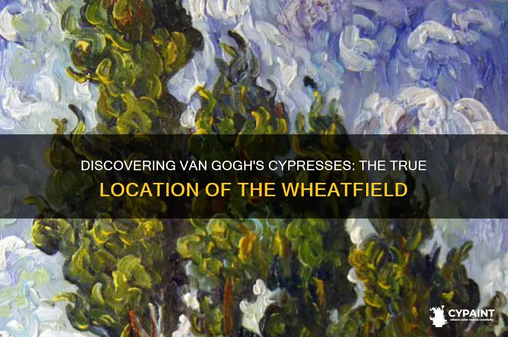 where is the actual wheatfield of cypresses painted