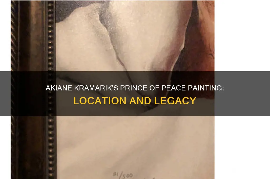 where is the akiane kramairk prince of peace painting