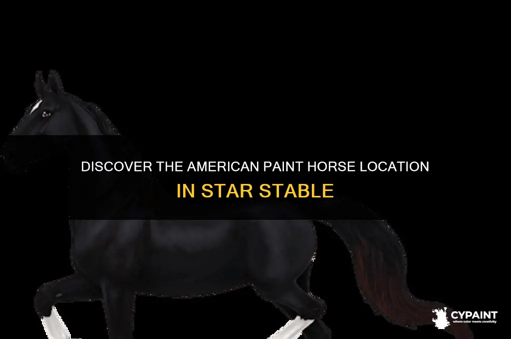 where is the american paint horse in star stable