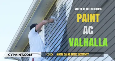 Assassin's Creed Valhalla: Locating the Builder's Paint Guide