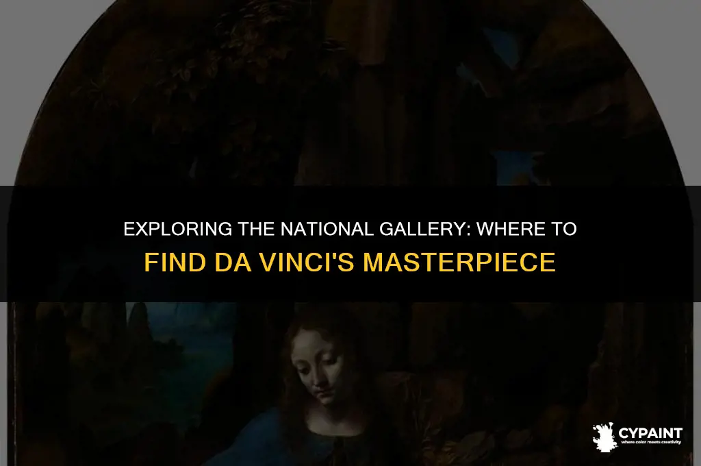 where is the da vinci painting in the national gallery
