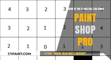 Unleashing Creativity: Mastering the Flood Fill Tab in Corel PaintShop Pro