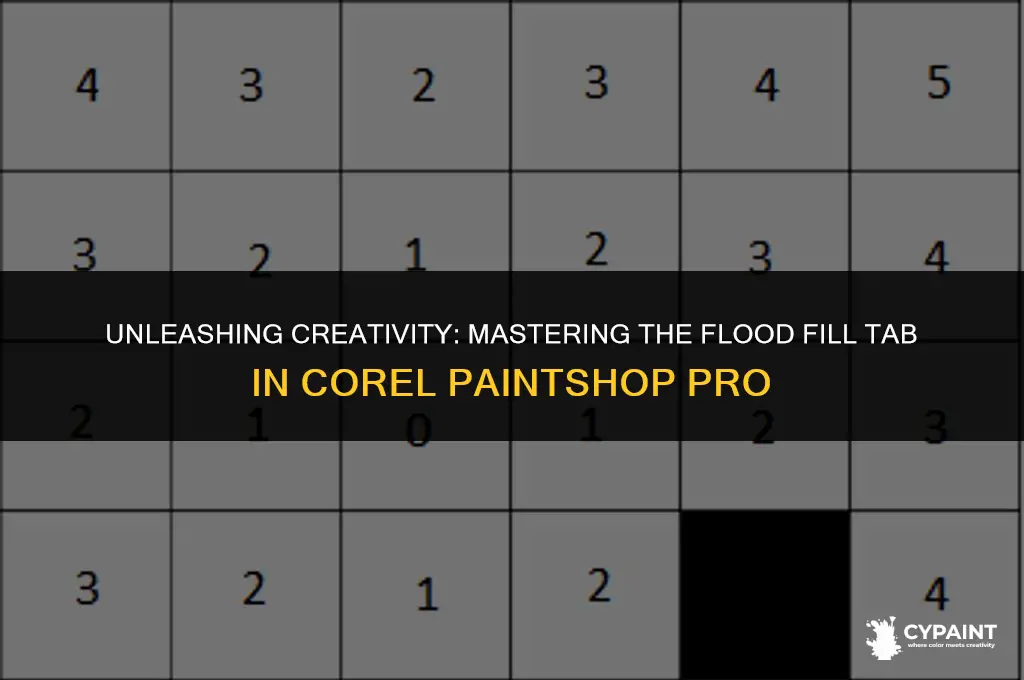 where is the flood fill tab corel paint shop pro
