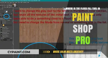 Mastering Flood Fill in PaintShop Pro: A Comprehensive Guide