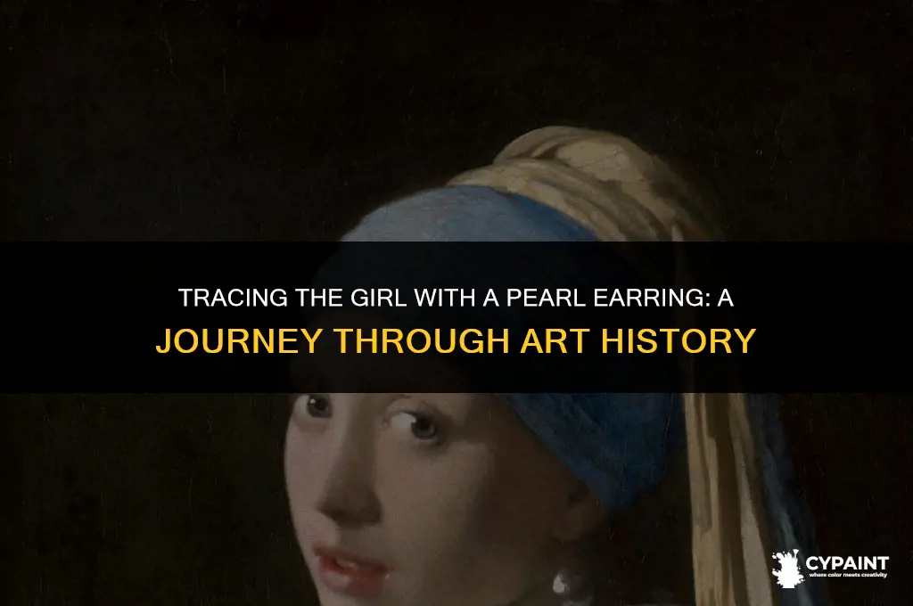 where is the girl with a pearl earring painting located