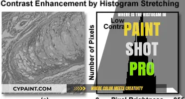 Finding the Histogram Tool in PaintShop Pro: A Quick Guide