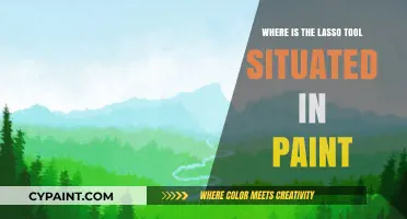 Finding the Lasso Tool in Paint: A Quick Guide