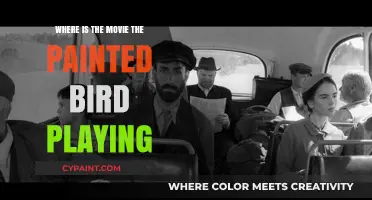 Where to Watch 'The Painted Bird': A Cinematic Journey