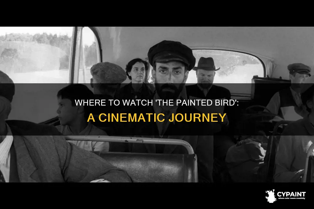 where is the movie the painted bird playing