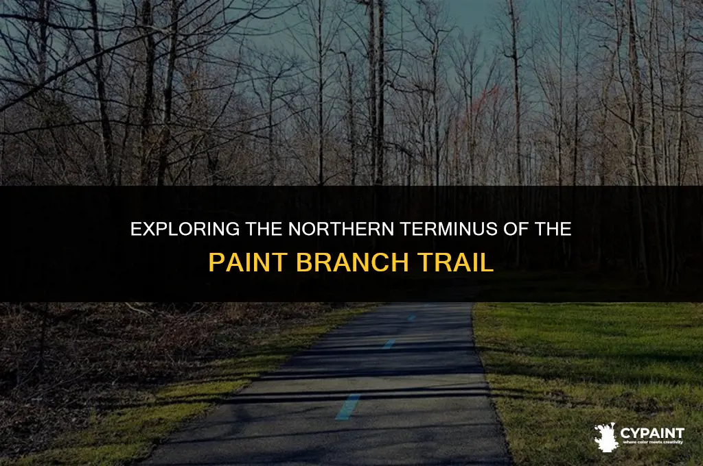 where is the northern end of the paint branch trail