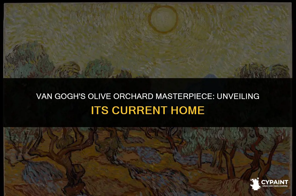 where is the olive orchard painting of van gogh located