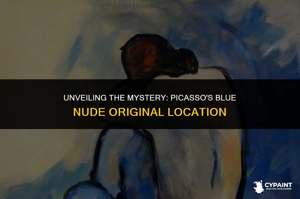 where is the original painting of picasso