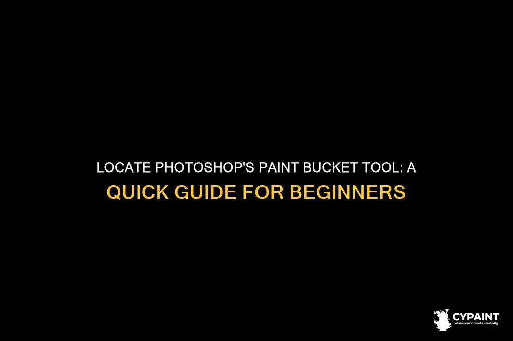 where is the paint bucket tool in photocshop