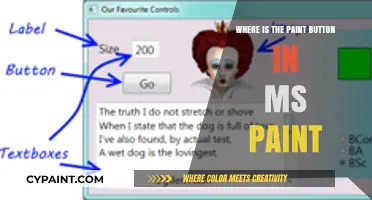 Finding the Paint Button in MS Paint: A Quick Guide