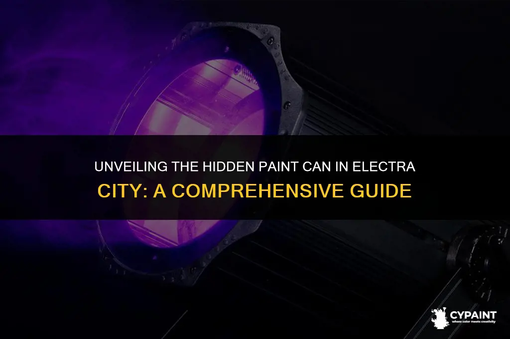 where is the paint can in electra city