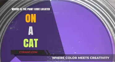 Finding Your Cat's Paint Code: Location and Identification Guide