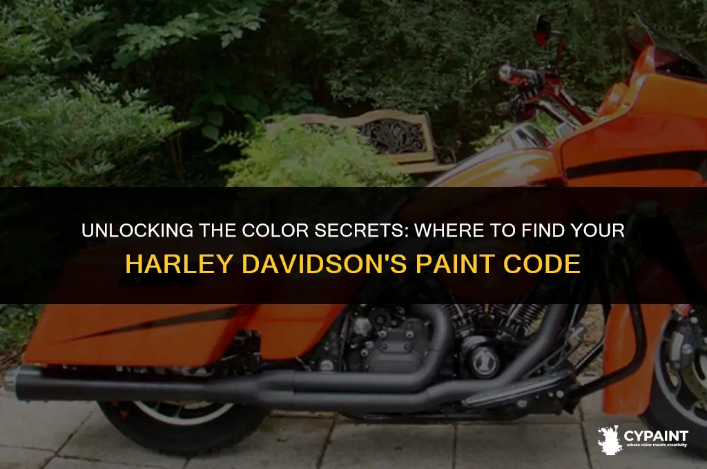 where is the paint code located on a harley davidson