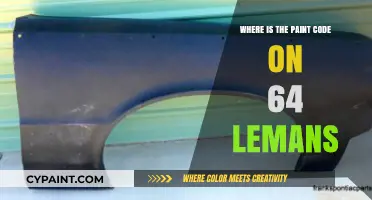 Finding the Paint Code on a 1964 LeMans: A Guide