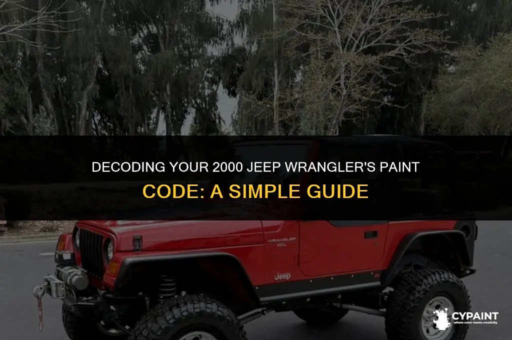where is the paint code on a 2000 jeep wrangler