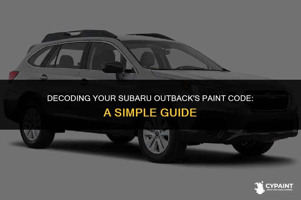 where is the paint code on a 2000 subaru outback