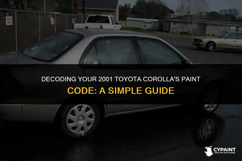 where is the paint code on a 2001 toyota corolla
