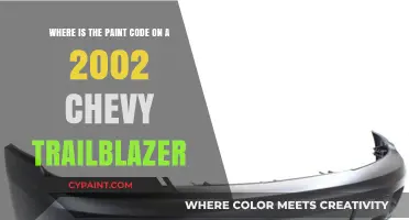 Decoding Your 2002 Chevy Trailblazer's Paint Code: A Simple Guide