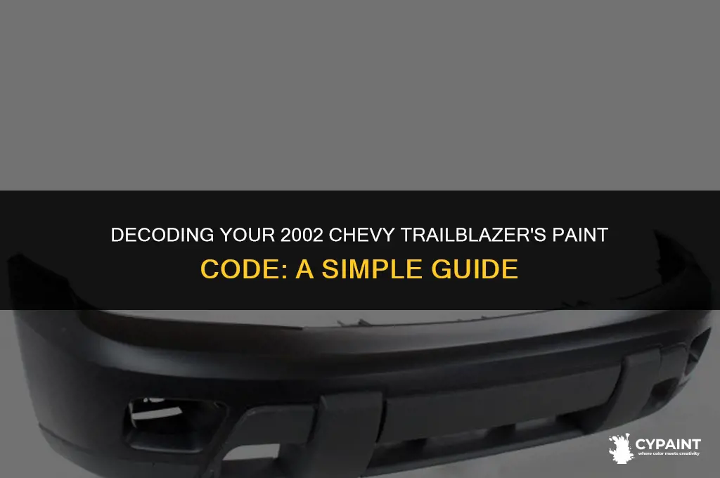 where is the paint code on a 2002 chevy trailblazer