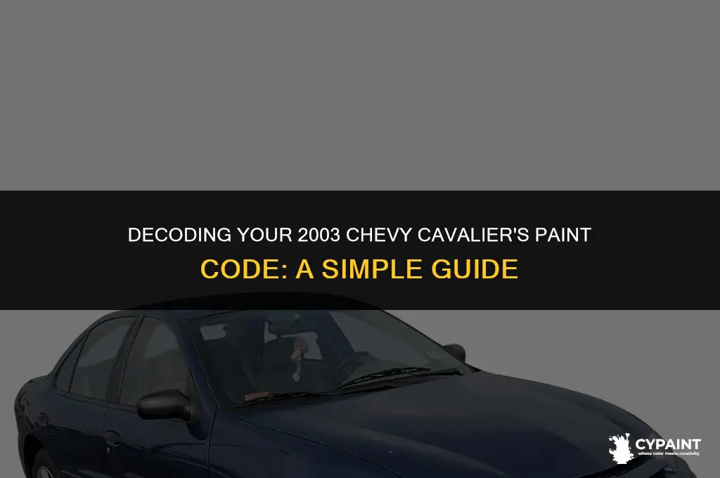 where is the paint code on a 2003 chevy cavalier