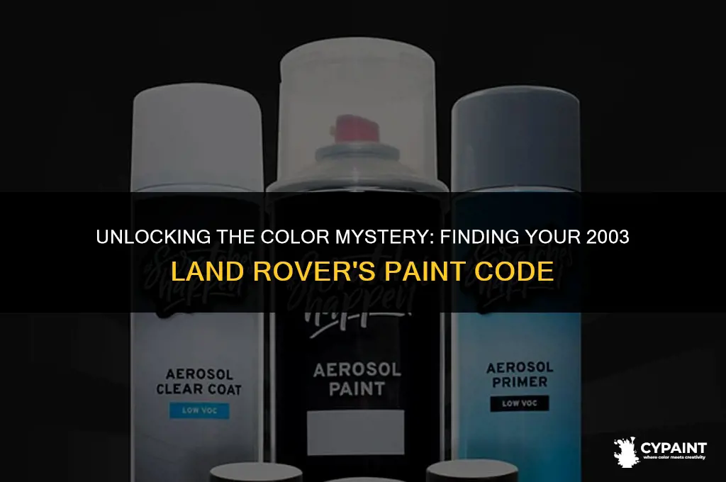 where is the paint code on a 2003 land rover