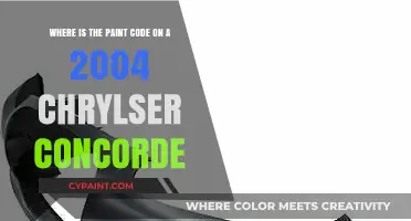 Decoding the Paint Code Mystery: 2004 Chrysler Concorde Edition