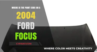 Decoding Your 2004 Ford Focus Paint Code: A Step-by-Step Guide