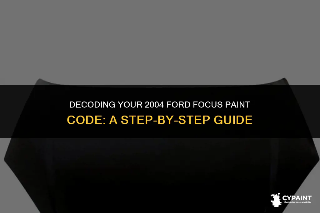 where is the paint code on a 2004 ford focus