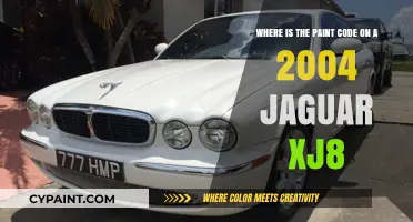 Decoding the Paint Code Mystery on Your 2004 Jaguar XJ8
