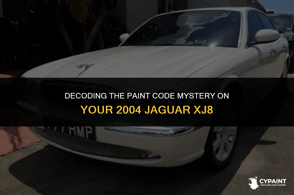 where is the paint code on a 2004 jaguar xj8
