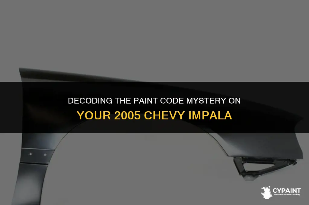 where is the paint code on a 2005 chevy impala