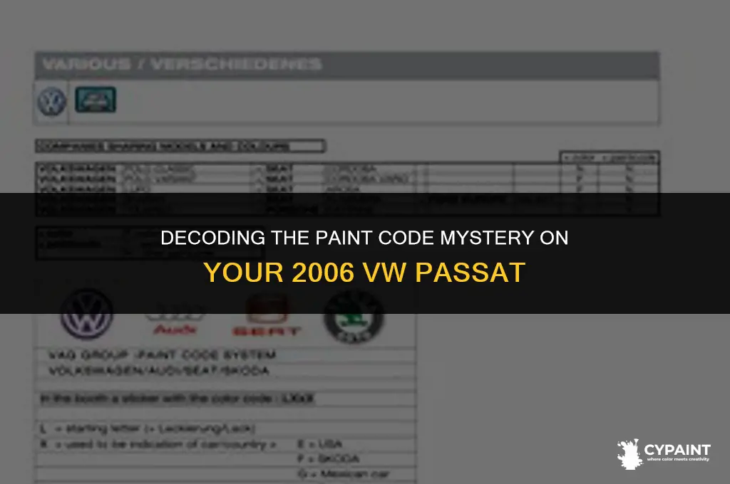 where is the paint code on a 2006 vw passat
