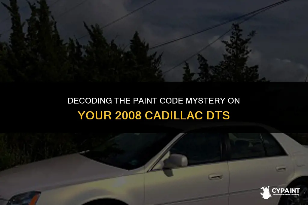 where is the paint code on a 2008 cadillac dts