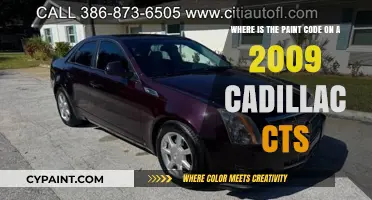 Decoding the Paint Code Mystery on Your 2009 Cadillac CTS
