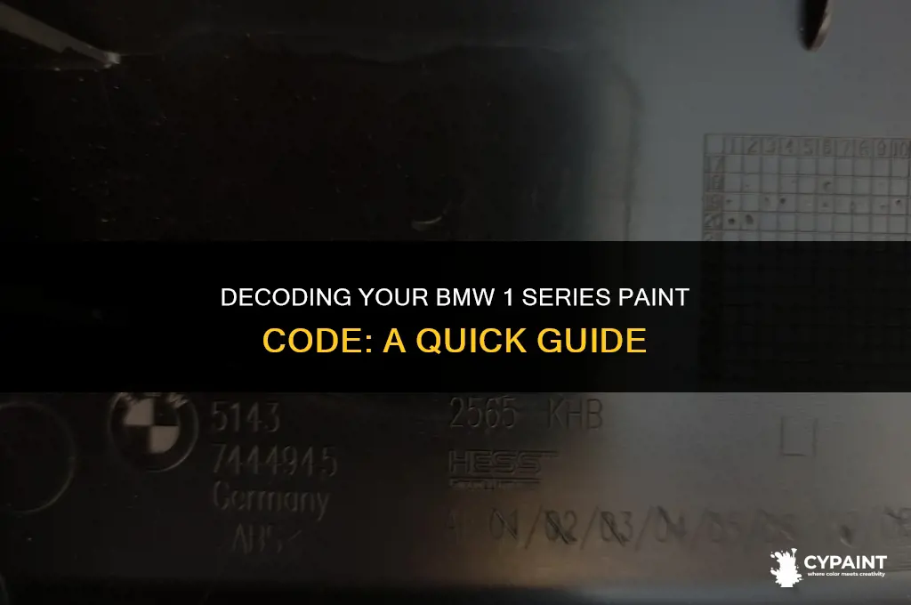 where is the paint code on a bmw 1 series