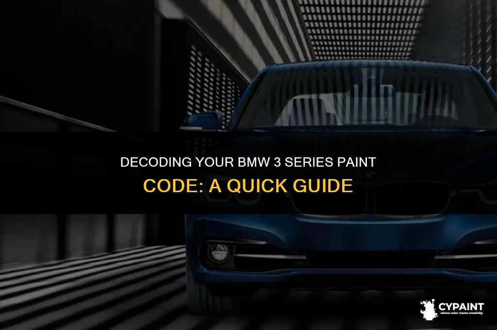 where is the paint code on a bmw 3 series
