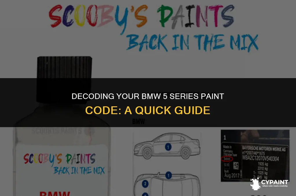 where is the paint code on a bmw 5 series