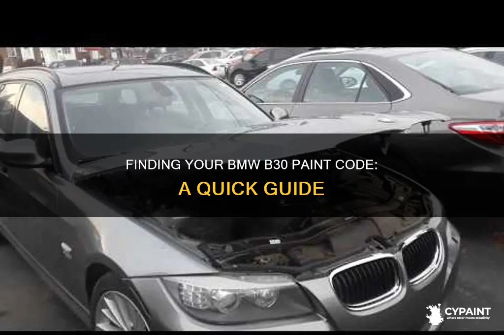 where is the paint code on a bmw b30