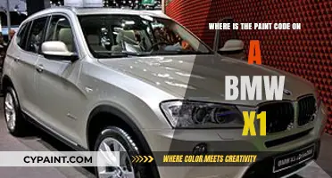 Finding Your BMW X1's Paint Code: A Quick Guide